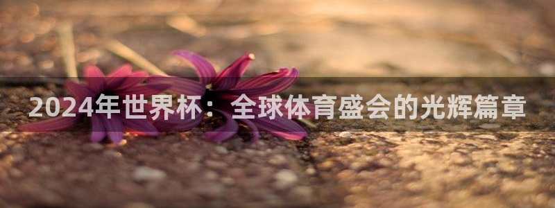 世界杯48支球队赛制：2024年世界杯：全球体育盛会的光辉篇章