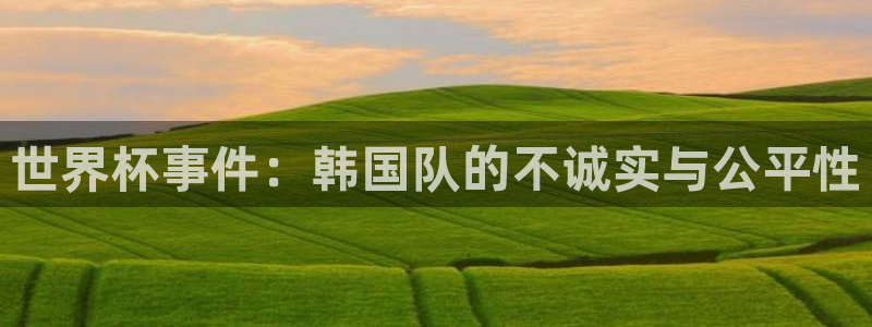 世界杯亚洲区预选赛赛程表：世界杯事件：韩国队的不诚实与公平性