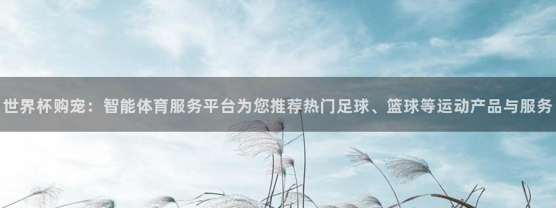 世界杯：世界杯购宠：智能体育服务平台为您推荐热门足球、篮球等运动产品与服务