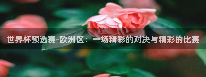 2026世界杯亚洲区预选赛：世界杯预选赛-欧洲区：一场精彩的对决与精彩的比赛