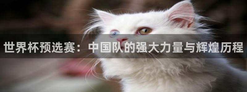 2026世亚预赛赛程表：世界杯预选赛：中国队的强大力量与辉煌历程