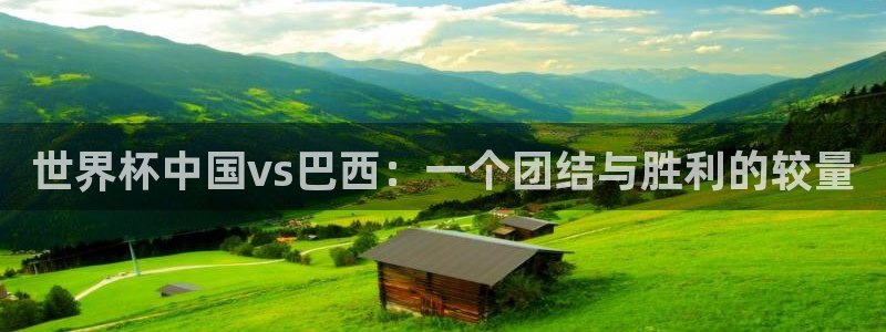 2026世界杯亚洲预选赛：世界杯中国vs巴西：一个团结与胜利的较量
