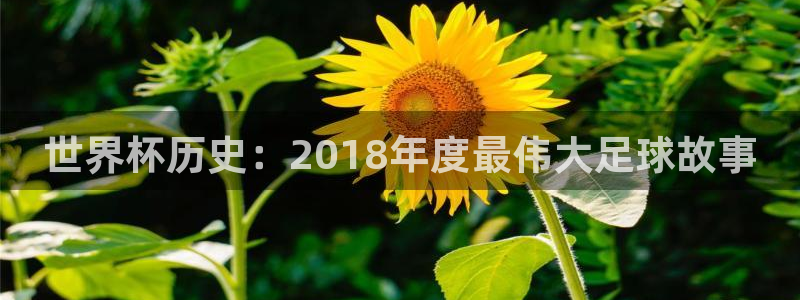 美洲杯直播：世界杯历史：2018年度最伟大足球故事