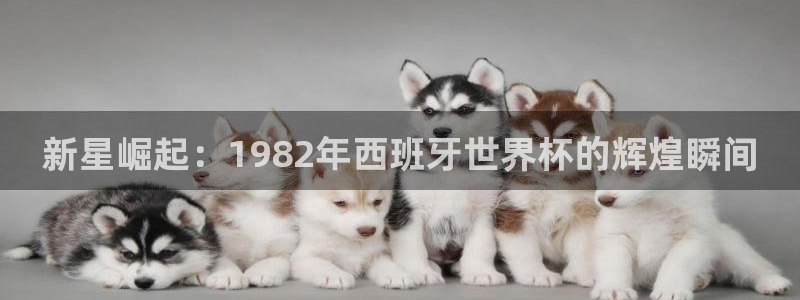 2026世预赛全部赛程：新星崛起：1982年西班牙世界杯的辉煌瞬间