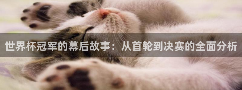 世界杯预选赛赛程时间表：世界杯冠军的幕后故事：从首轮到决赛的全面分析