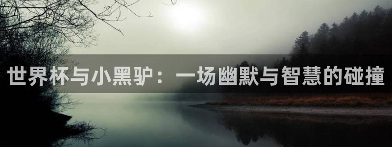 世界杯2026赛程：世界杯与小黑驴：一场幽默与智慧的碰撞