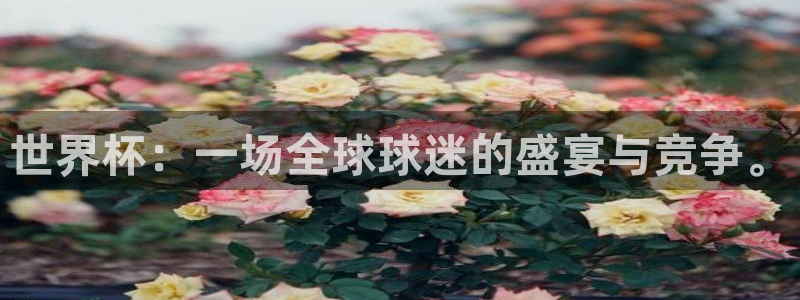 世界杯欧洲预选赛赛程：世界杯：一场全球球迷的盛宴与竞争。