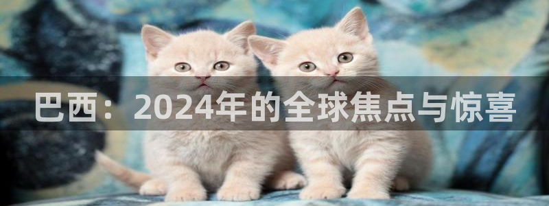 世界杯足球直播：巴西：2024年的全球焦点与惊喜