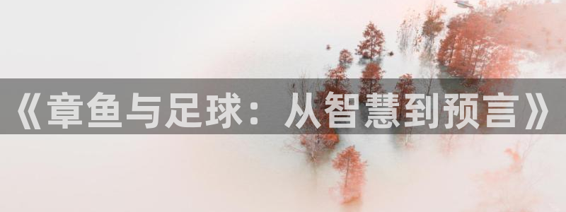 世界杯足球直播：《章鱼与足球：从智慧到预言》