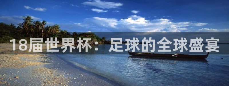 世界杯直播在线观看入口：18届世界杯：足球的全球盛宴