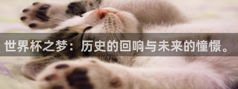 世界杯足球：世界杯之梦：历史的回响与未来的憧憬。