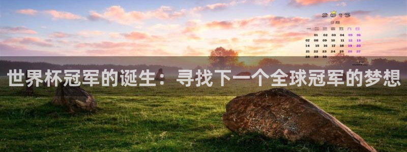 世界杯对阵图2026：世界杯冠军的诞生：寻找下一个全球冠军的梦想