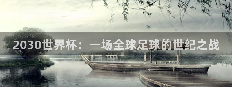 世界杯直播高清：2030世界杯：一场全球足球的世纪之战