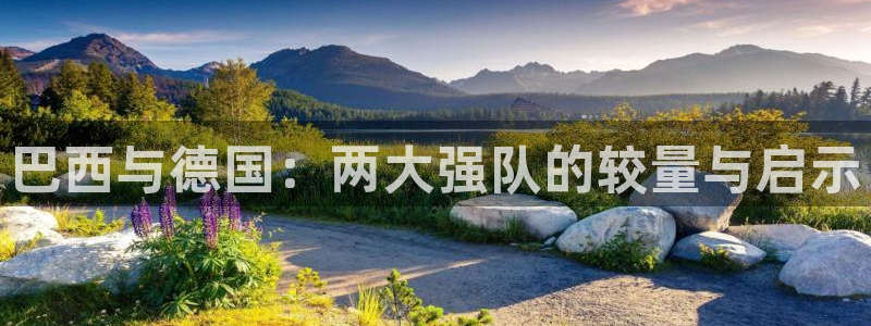 葡萄牙世界杯赛程：巴西与德国：两大强队的较量与启示