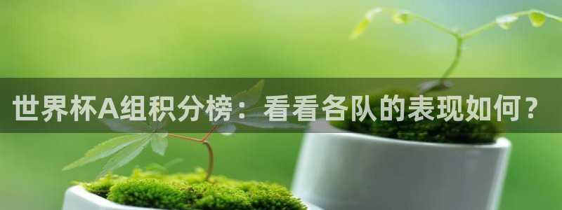 2026世预赛全部赛程：世界杯A组积分榜：看看各队的表现如何？