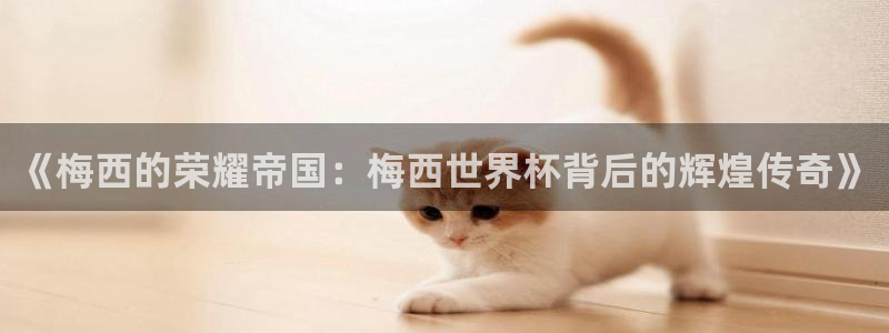 世界杯转播表：《梅西的荣耀帝国：梅西世界杯背后的辉煌传奇》