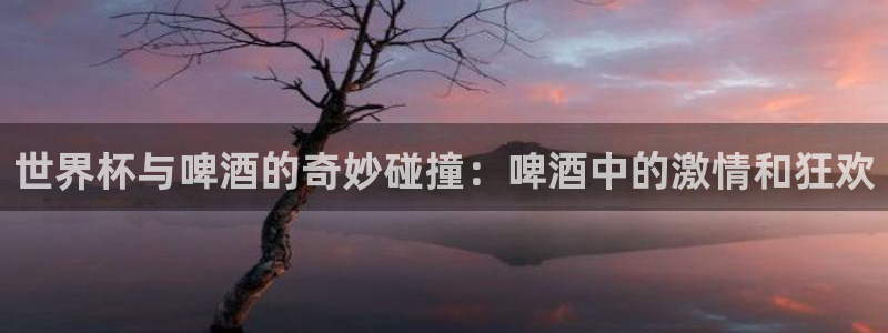 2026世界杯预选赛：世界杯与啤酒的奇妙碰撞：啤酒中的激情和狂欢